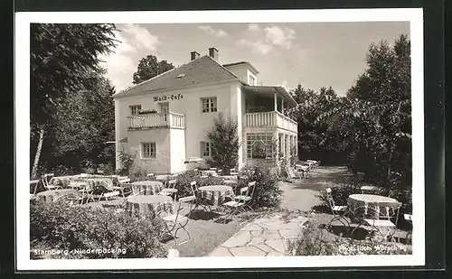 AK Starnberg-Niederpöcking, Wald-Cafe im Sonneschein