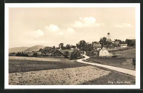 AK Berg i. Bayer. Wald, Blick von einer Landstrasse auf das Dorf