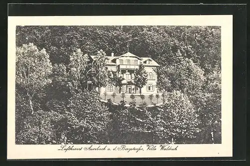 AK Auerbach, Villa Waldruh aus der Vogelschau