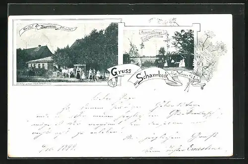 AK Scharmbeck, Gasthof Jägersruh von F. Rosenthal, Prinzess Chimay`s Lieblingslaube
