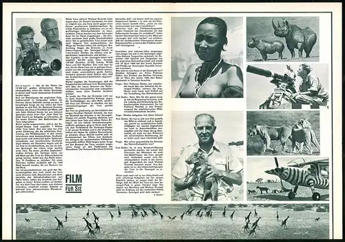 Filmprogramm PFP Nr. 79 /66, Serengeti darf nicht sterben, Regie: Prof. Dr. Bernhard Grzimek, Naturdokumentation