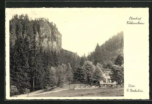 AK Oberhof, Falkenstein mit Gasthaus