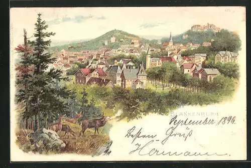 Lithographie Blankenburg / Harz, Panorama der Stadt