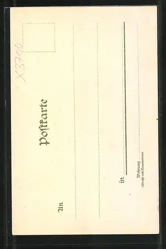 Lithographie Wernigerode, Rathaus im Sonnenschein