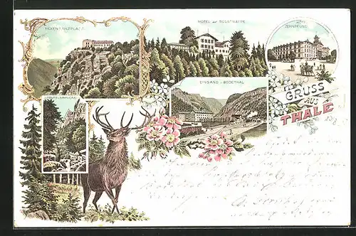 Lithographie Thale, Hotel Zehnpfund, Hotel zur Rosstrappe, Hexentanzplatz, Teufelsbrücke