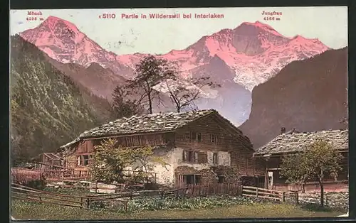 AK Wilderswil bei Interlaken, Ortsansicht mit Mönch und Jungfrau