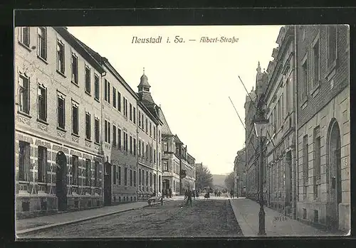 AK Neustadt i. Sa., Blick auf die Albertstrassse