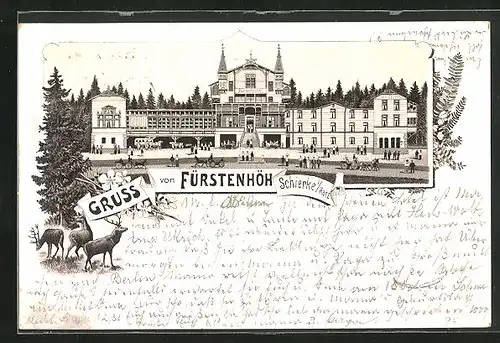 Vorläufer-Lithographie Schierke /Harz, 1895, Darstellung des Gasthauses Fürstenhöh