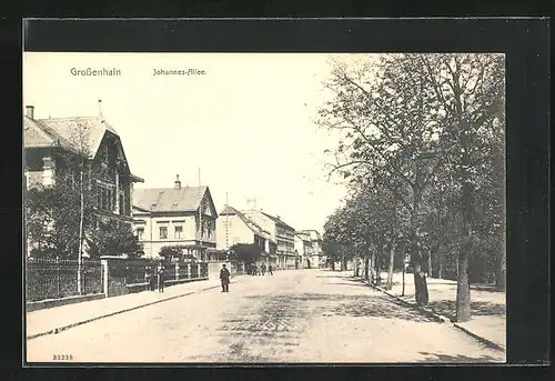 AK Grossenhain, Johannes-Allee mit Passanten