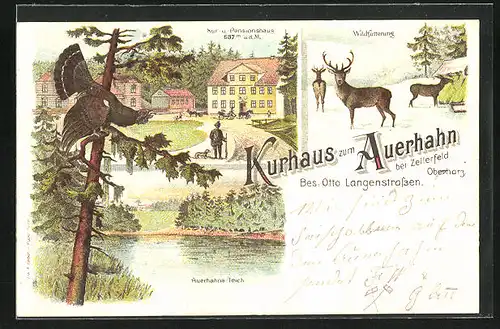 Lithographie Zellerfeld / Oberharz, Kurhaus zum Auerhahn, Auerhahns-Teich, Wildfütterung im Winter