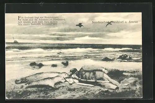 AK Norddorf a. Amrun, Schütze liegt mit Seehunden am Strand