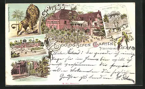 Lithographie Hannover, Zoologischer Garten, Kameelhaus, Felsen, Affenhaus