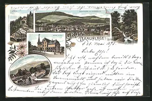 Lithographie Braunlage / Harz, Berghotel, Strassenpartie mit Hirte, Klippe