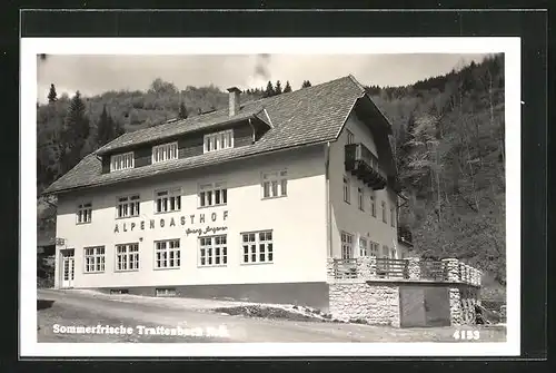 AK Trattenbach, Blick zum Alpengasthof