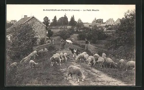 AK Saint-Sauveur-en-Puisaye, Le Petit Moulin