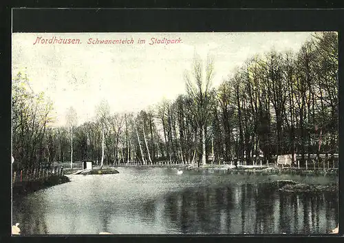 AK Nordhausen, Schwanenteich im Stadtpark