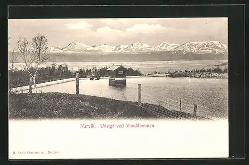 AK Narvik, Udsigt ved Vanddammen