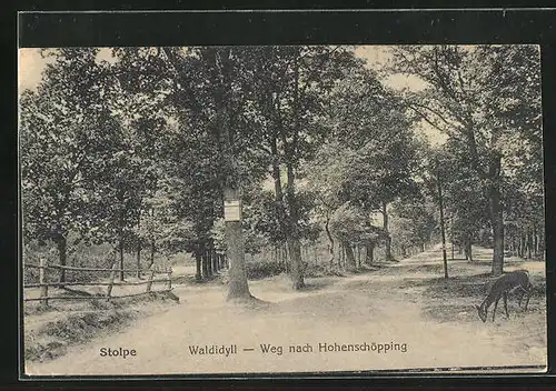 AK Stolpe / Nordbahn, Waldidyll, Weg nach Hohenschöpping