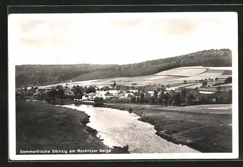 AK Sörnzig, Partie am Fluss, Blick auf den Ort am Rochlitzer Berg