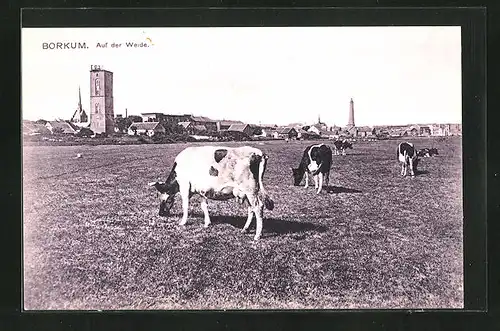 AK Borkum, Ortsansicht mit Rindern auf der Weide