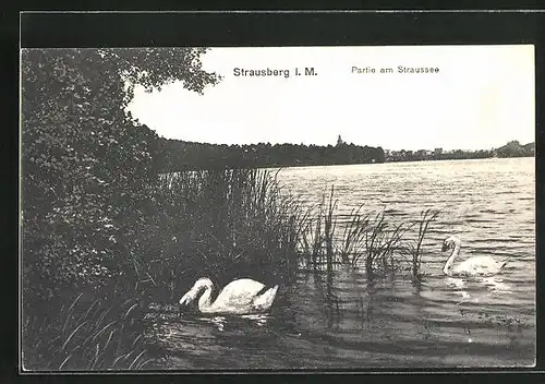 AK Strausberg i.M., Partie am Straussee