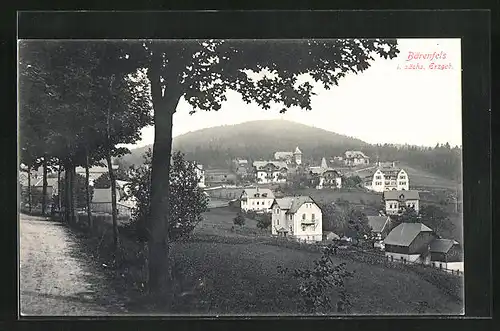 AK Bärenfels i. Erzgeb., Blick vom Weg zum Ort