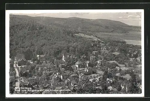 AK Bad Harzburg, Blick vom Burgberg auf die Arnsbergerstrasse