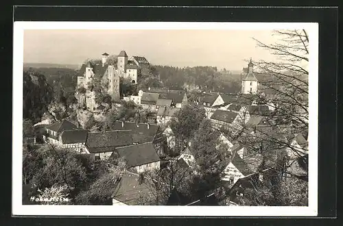 AK Hohnstein /sächs. Schweiz, Ortsansicht mit Schloss