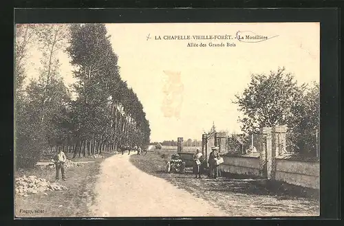 AK La Chapelle-Vieille-Forêt, La Mouillière, Allèe des Grands Bois