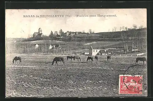 AK Haras de Neuvillette, Prairies sous Marquemont