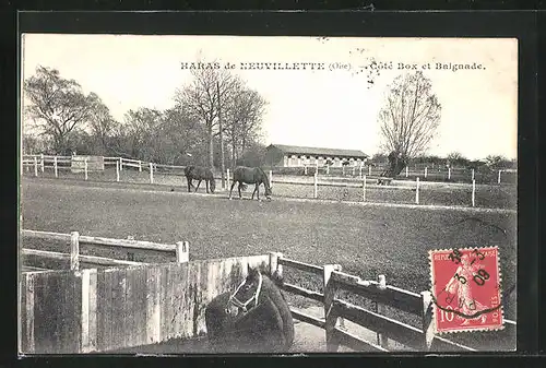 AK Haras de Neuvillette, Coté Box et Baignade