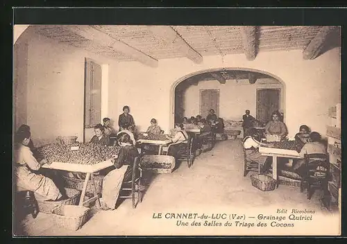 AK Le Cannet-du-Luc, Grainage Quirici, Une des Salles du Triage des Cocons, Sortierung der Seidenraupen
