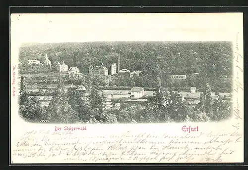 Relief-AK Erfurt, Blick auf die Villen am Steigerwald