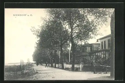 AK Niendorf a.O., Villen an der Promenade