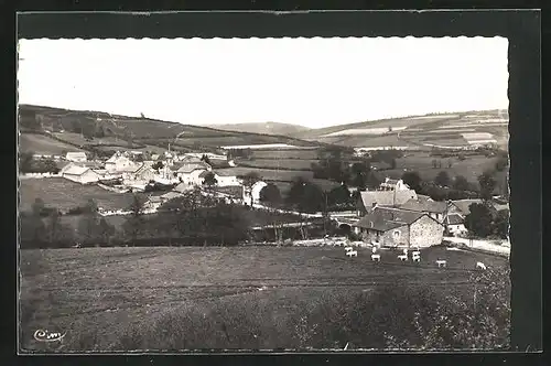 AK Chissey-en-Morvan, Vue Generale, Kühe auf der Weide