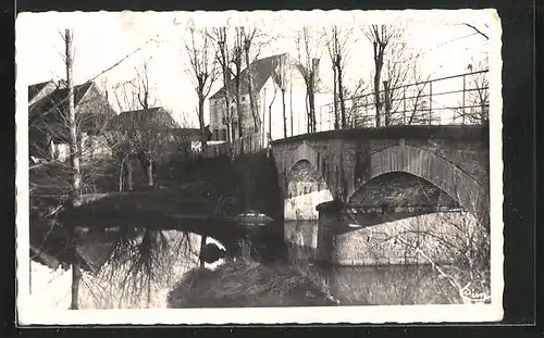 AK La Chapelle-de-Bragny, Pont et Moulin