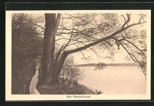 AK Werbellin, Partie am Werbellin-See
