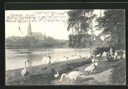 AK Chemnitz, Schlossteich mit Blick zur Schlosskirche