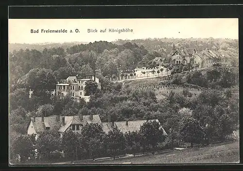 AK Bad Freienwalde a.O., Blick auf Königshöhe