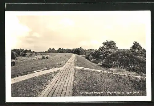 AK Ostseebad Prerow, Promenade auf dem Deich