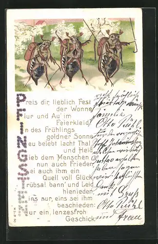 AK Drei Maikäfer und ein Gedicht zum Pfingstfest