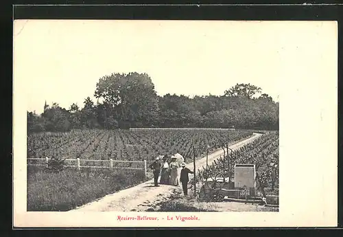 AK Rosiers-Bellevue, Le Vignoble