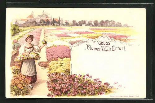 Lithographie Erfurt, Ortsansicht mit Blumenfelder