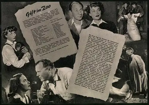 Filmprogramm PFI Nr. 58 /55, Gift im Zoo, Irene von Meyendorff, Carl Raddatz, Regie: Hans Müller