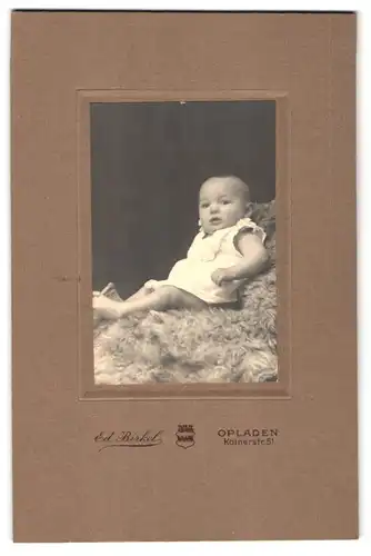 Fotografie Ed. Birkel, Opladen, Kölnerstrasse 51, Portrait niedliches Baby im weissen Hemd auf Fell sitzend