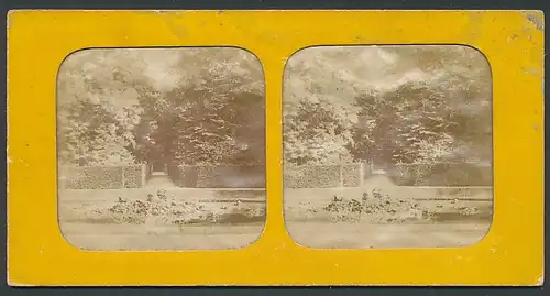 Stereo-Fotografie Fotograf unbekannt, Ansicht Versailles, Parc de Versailles, Halt gegen das Licht