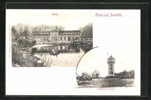 AK Aumühle, Mühle, Bismarck-Turm