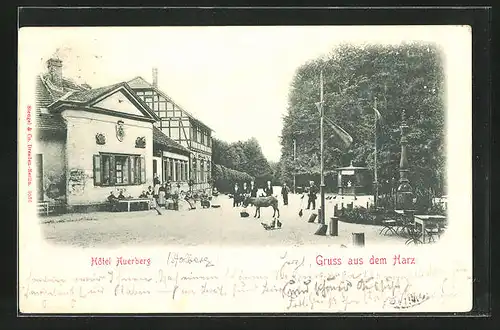 AK Stolberg / Harz, Gasthaus und Hotel Auerberg