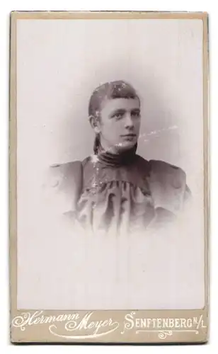 Fotografie Herm. Meyer, Senftenberg, Ansicht Senftenberg N.L., Foto-Atelier, Rückseitig Damen-Portrait