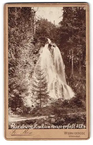 Fotografie Fr. Rose, Wernigerode, Ansicht Harzburg, Radau-Wasserfall